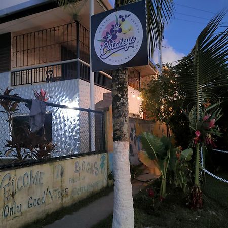 בוקס דל טורו Cataleya Hostel מראה חיצוני תמונה