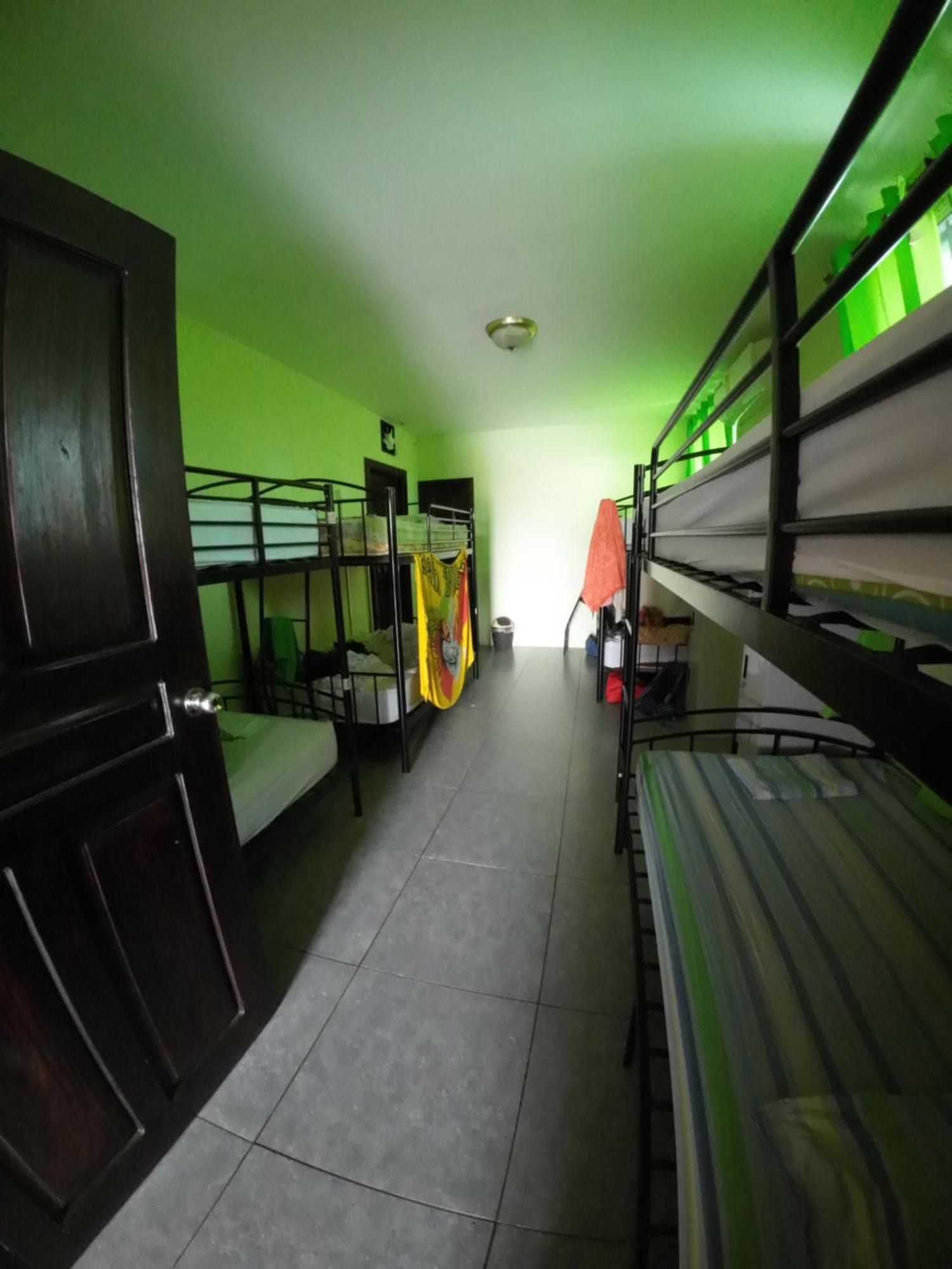 בוקס דל טורו Cataleya Hostel מראה חיצוני תמונה