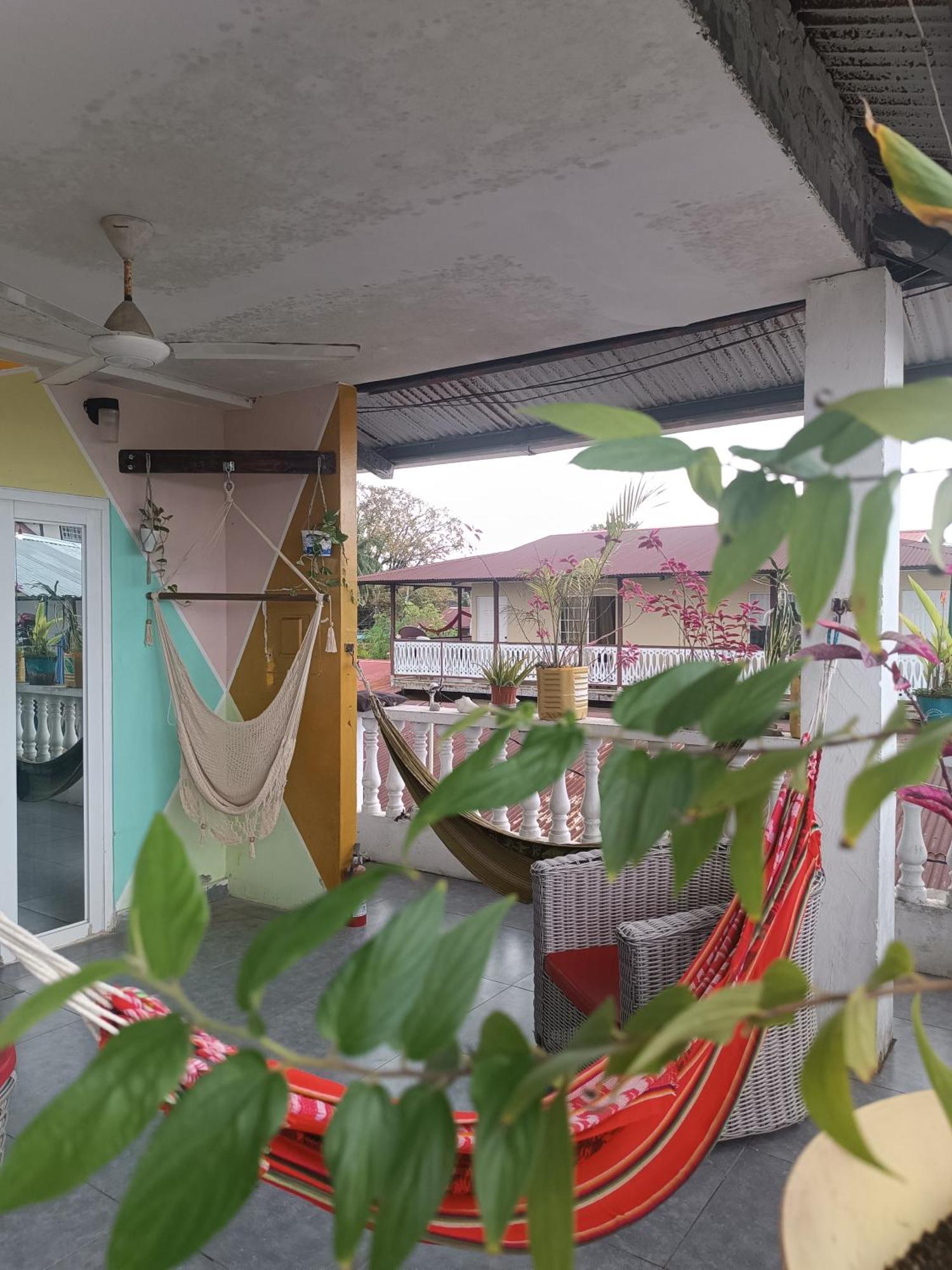 בוקס דל טורו Cataleya Hostel מראה חיצוני תמונה